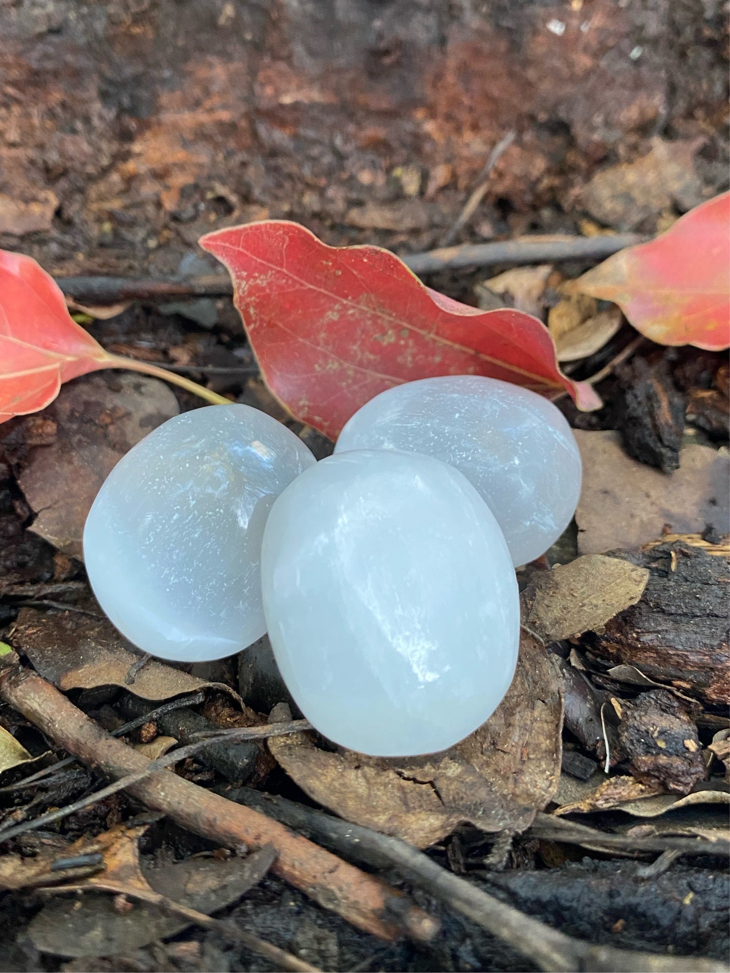 Selenite